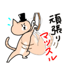 むっちとむっち男爵のネコスタンプ（個別スタンプ：13）