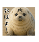 きゅーとあざらしすたんぷ（個別スタンプ：1）