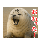きゅーとあざらしすたんぷ（個別スタンプ：2）