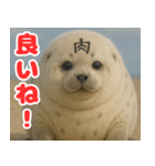 きゅーとあざらしすたんぷ（個別スタンプ：9）