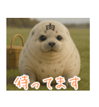 きゅーとあざらしすたんぷ（個別スタンプ：12）