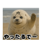 きゅーとあざらしすたんぷ（個別スタンプ：18）