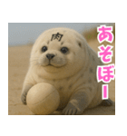 きゅーとあざらしすたんぷ（個別スタンプ：19）