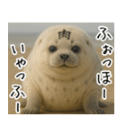 きゅーとあざらしすたんぷ（個別スタンプ：20）