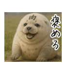 きゅーとあざらしすたんぷ（個別スタンプ：23）