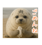 きゅーとあざらしすたんぷ（個別スタンプ：24）