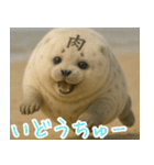 きゅーとあざらしすたんぷ（個別スタンプ：25）