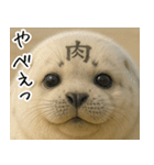 きゅーとあざらしすたんぷ（個別スタンプ：27）