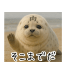 きゅーとあざらしすたんぷ（個別スタンプ：28）