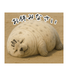 きゅーとあざらしすたんぷ（個別スタンプ：30）