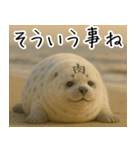 きゅーとあざらしすたんぷ（個別スタンプ：34）
