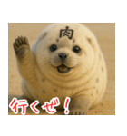 きゅーとあざらしすたんぷ（個別スタンプ：36）