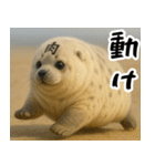 きゅーとあざらしすたんぷ（個別スタンプ：37）