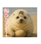 きゅーとあざらしすたんぷ（個別スタンプ：38）