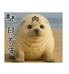 きゅーとあざらしすたんぷ（個別スタンプ：39）