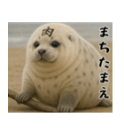 きゅーとあざらしすたんぷ（個別スタンプ：40）