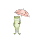 梅雨のかえるちゃん（個別スタンプ：5）
