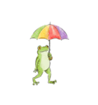 梅雨のかえるちゃん（個別スタンプ：12）