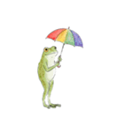 梅雨のかえるちゃん（個別スタンプ：15）