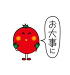 プチトメト 3（個別スタンプ：37）