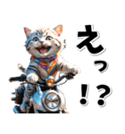 即返信♡バイク好き ねこ（個別スタンプ：2）
