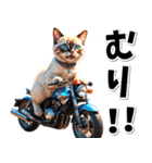 即返信♡バイク好き ねこ（個別スタンプ：4）