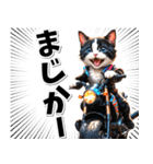 即返信♡バイク好き ねこ（個別スタンプ：11）