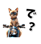 即返信♡バイク好き ねこ（個別スタンプ：12）