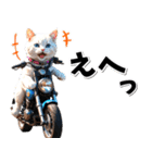 即返信♡バイク好き ねこ（個別スタンプ：19）