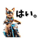 即返信♡バイク好き ねこ（個別スタンプ：25）