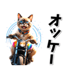 即返信♡バイク好き ねこ（個別スタンプ：27）