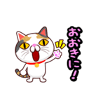 関西弁の三毛猫のチョコちゃん（個別スタンプ：1）