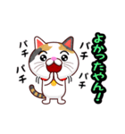 関西弁の三毛猫のチョコちゃん（個別スタンプ：3）
