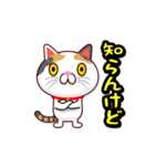 関西弁の三毛猫のチョコちゃん（個別スタンプ：7）