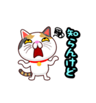 関西弁の三毛猫のチョコちゃん（個別スタンプ：8）