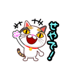 関西弁の三毛猫のチョコちゃん（個別スタンプ：10）