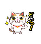 関西弁の三毛猫のチョコちゃん（個別スタンプ：11）
