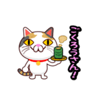 関西弁の三毛猫のチョコちゃん（個別スタンプ：12）