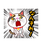 関西弁の三毛猫のチョコちゃん（個別スタンプ：15）