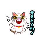関西弁の三毛猫のチョコちゃん（個別スタンプ：19）