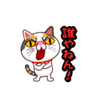 関西弁の三毛猫のチョコちゃん（個別スタンプ：21）