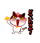 関西弁の三毛猫のチョコちゃん（個別スタンプ：23）