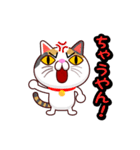 関西弁の三毛猫のチョコちゃん（個別スタンプ：25）