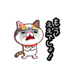 関西弁の三毛猫のチョコちゃん（個別スタンプ：28）