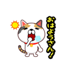 関西弁の三毛猫のチョコちゃん（個別スタンプ：33）
