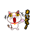 関西弁の三毛猫のチョコちゃん（個別スタンプ：34）