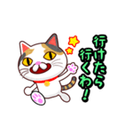 関西弁の三毛猫のチョコちゃん（個別スタンプ：38）