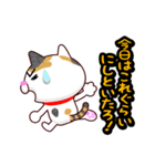 関西弁の三毛猫のチョコちゃん（個別スタンプ：39）