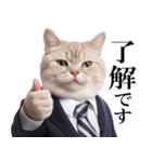 リアルサラリーマン猫（個別スタンプ：5）