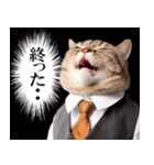リアルサラリーマン猫（個別スタンプ：11）